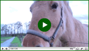 Video afbeelding Meeshoeve Video afbeelding Meeshoeve